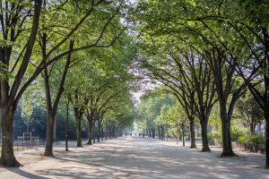 Avenue de la Bourdonnais IV