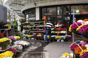 Boulevard de Beauséjour II