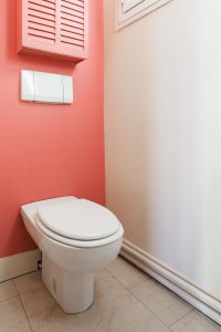 Quai de la Tournelle