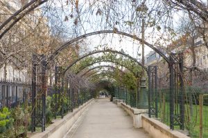 Rue Waldeck-Rousseau