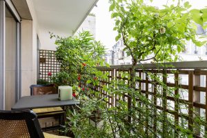 Rue Notre-Dame-des-Champs II