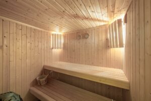 20-la_fenniayre-_1850-cimalpes-web-3