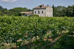 KYGO AVANT SON CONCERT AU ZENITH DE PARIS