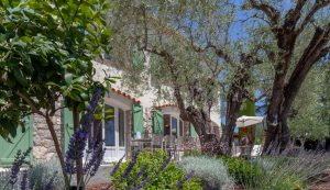 Villa Olivia low–4