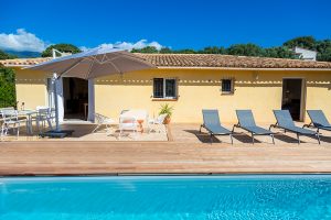 23735d6c5e9b8da9d2d595b45b0e11ae