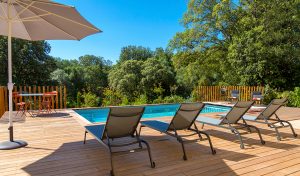 50db2accd97e3f6436dfeee252cc2024