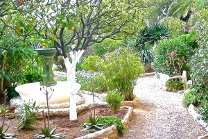 Garden-1-e1592382598881