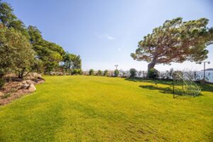 2021-09-15-23d337f957c52f2b49de7dbf6ba785ed