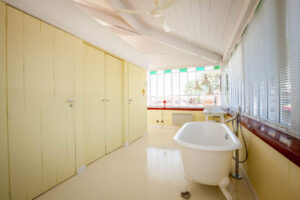 2019-08-19-895f50ae954d1fd7723fb3d45c464e3f