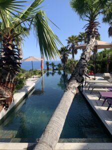 59e76c94-962f-4608-b606-2bae9d708a91