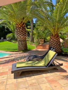 WhatsApp Image 2022-10-14 at 14.56.00 (1)